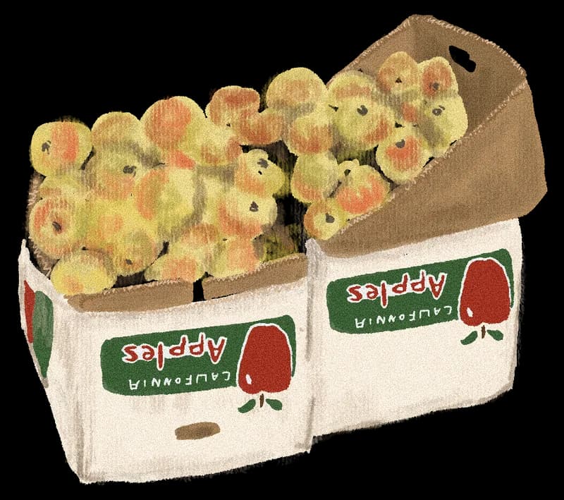 Illustration of two wooden crates overflowing with apples
