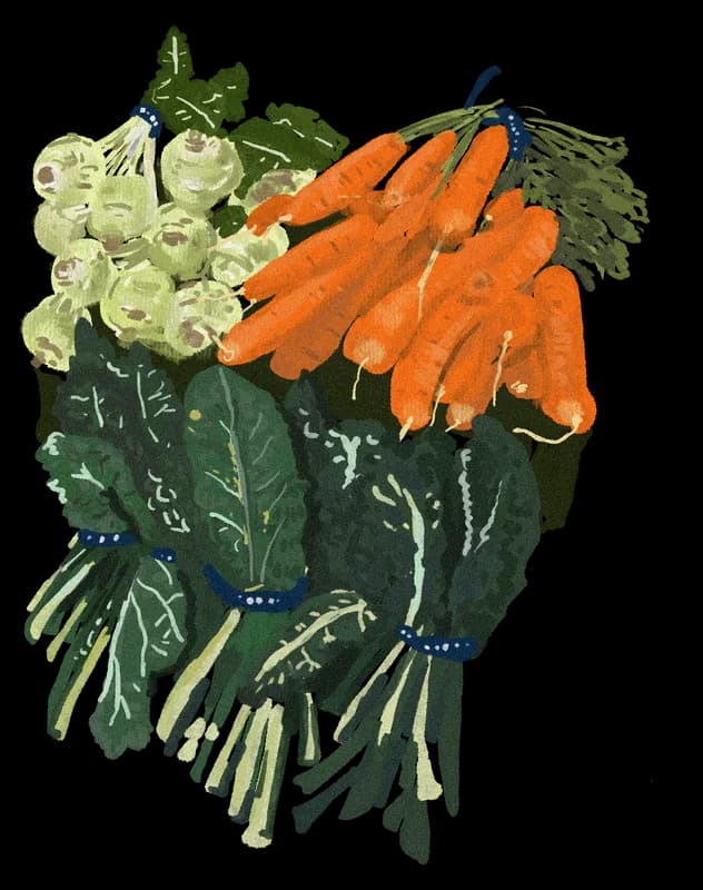 Illustration of a bundle of vegetables: kohlrabi, carrots, and kale tied together