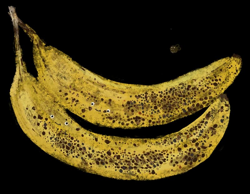 Illustration of two ripe, spotted bananas