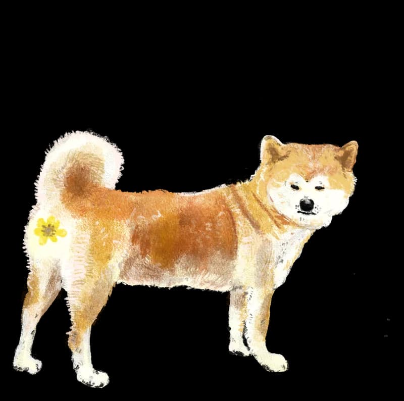 Illustration of a shiba inu standing in profile with a small flower marking