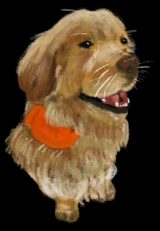 Illustration of a golden retriever puppy portrait wearing an orange bandana