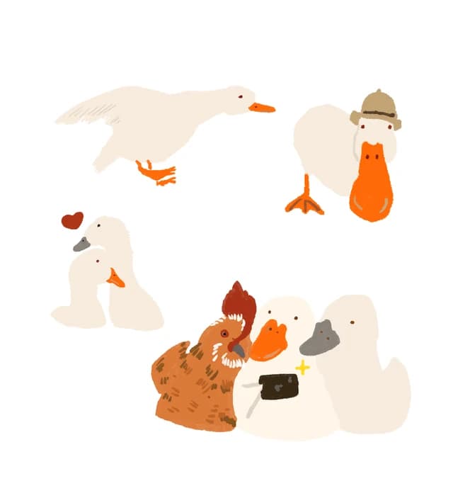 Illustration of geese, ducks and a chicken gathered together