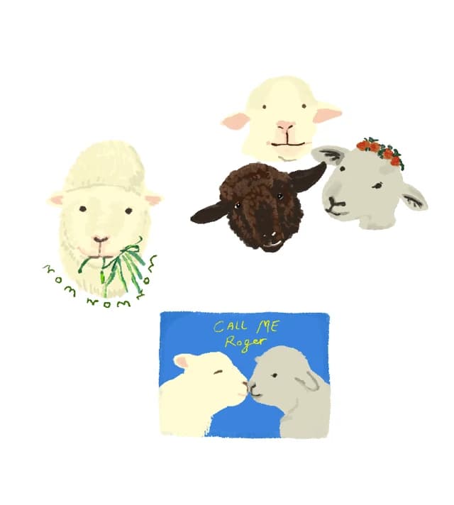 Illustrations of sheep faces, including two lambs touching noses