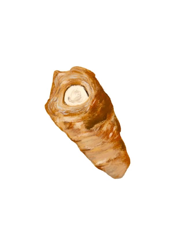 Illustration of a cornet pastry filled with cream
