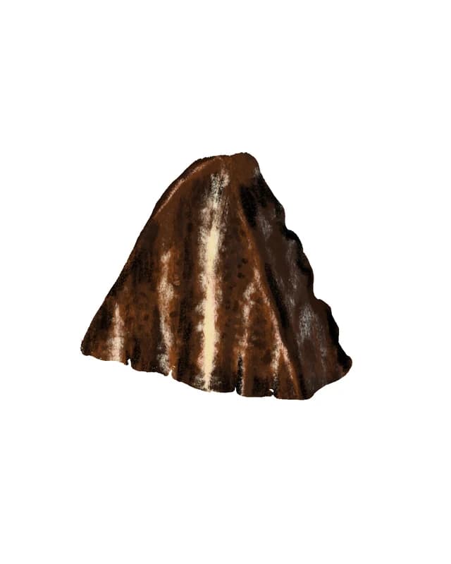 Illustration of a slice of chocolate layer cake