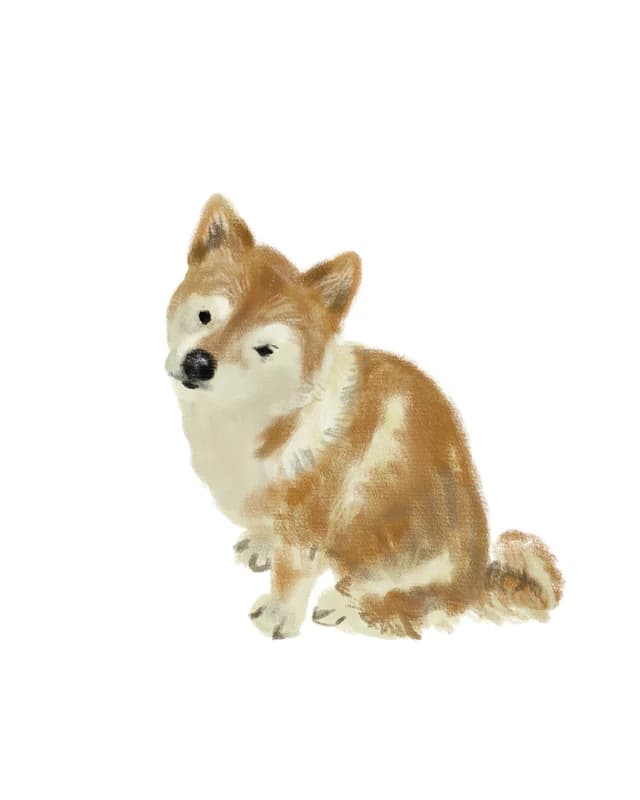 Illustration of a red shiba inu sitting