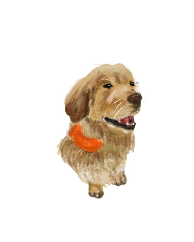 Illustration of a golden retriever puppy wearing an orange bandana