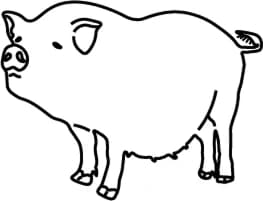 Line icon of a pig