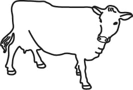 Line icon of a cow