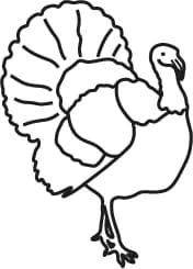 Line icon of a turkey