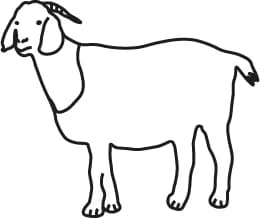 Line icon of a goat