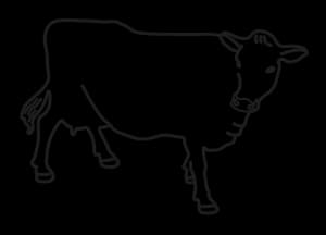 Line icon of a cow