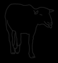 Line icon of a sheep