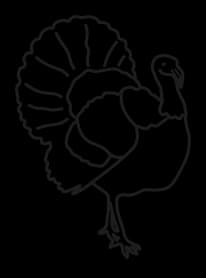 Line icon of a turkey