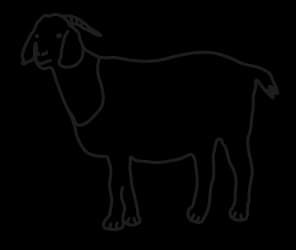 Line icon of a goat