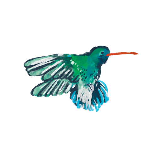 A watercolor hummingbird in flight
