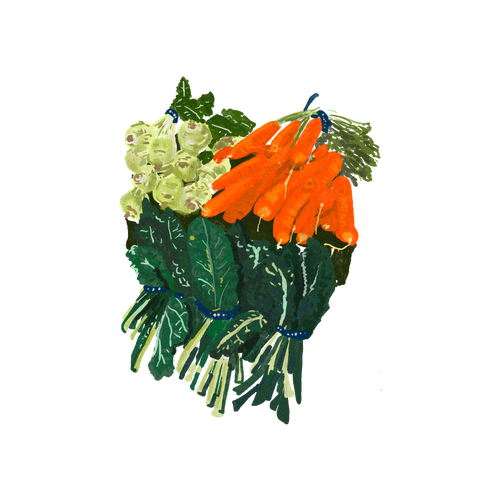An illustrated bundle of carrots, kohlrabi, and kale